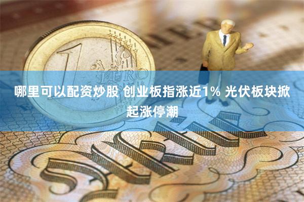 哪里可以配资炒股 创业板指涨近1% 光伏板块掀起涨停潮