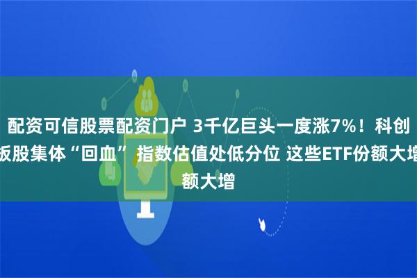 配资可信股票配资门户 3千亿巨头一度涨7%！科创板股集体“回血” 指数估值处低分位 这些ETF份额大增