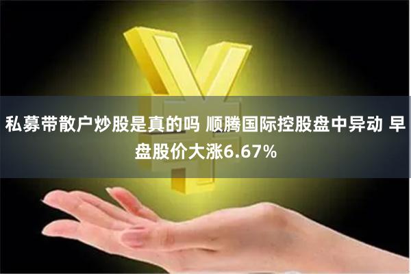 私募带散户炒股是真的吗 顺腾国际控股盘中异动 早盘股价大涨6.67%