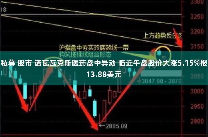 私募 股市 诺瓦瓦克斯医药盘中异动 临近午盘股价大涨5.15%报13.88美元