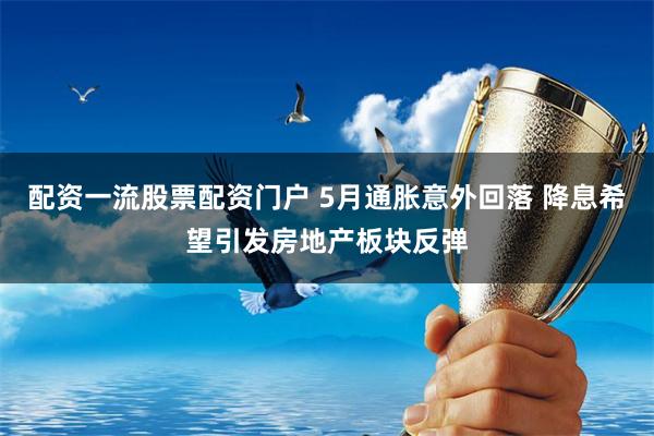 配资一流股票配资门户 5月通胀意外回落 降息希望引发房地产板块反弹