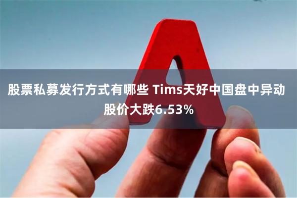 股票私募发行方式有哪些 Tims天好中国盘中异动 股价大跌6.53%