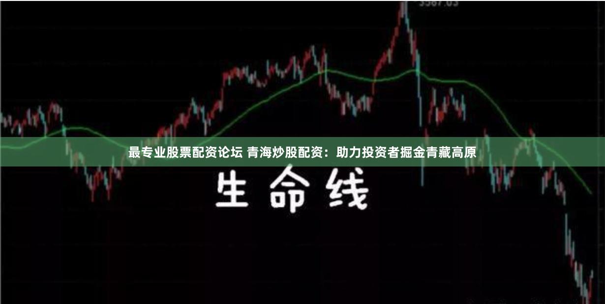 最专业股票配资论坛 青海炒股配资：助力投资者掘金青藏高原