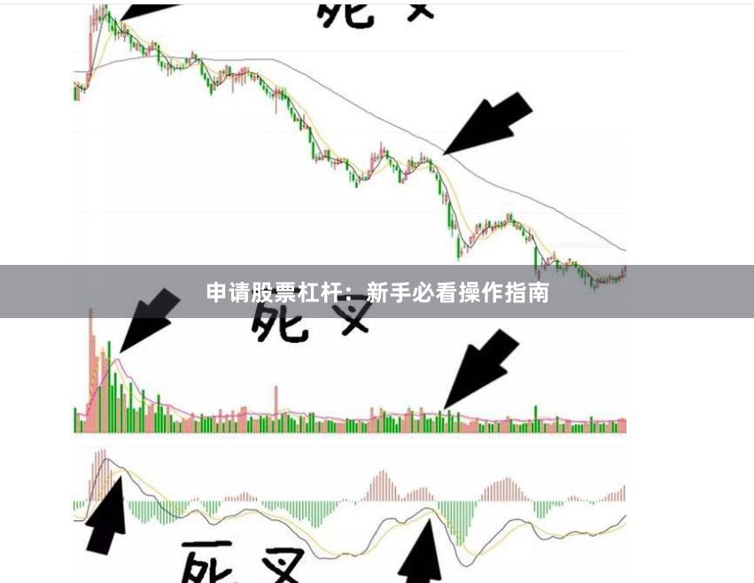 申请股票杠杆：新手必看操作指南